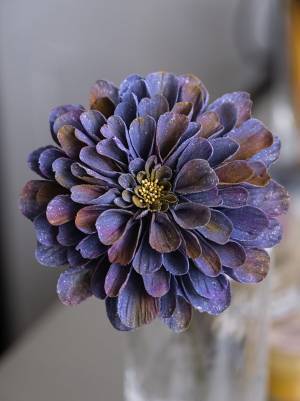 写っているのは『花』、ではなく？　正体に「ため息」「一生飾る」