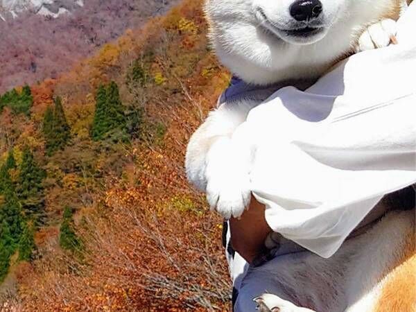 愛犬を山に連れていったら…　見せた表情に「いい顔してる！」