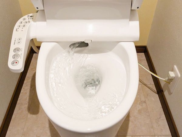 トイレ掃除は「上から下へ」　意外な鉄則に「コレでやる」「効率化しそう」