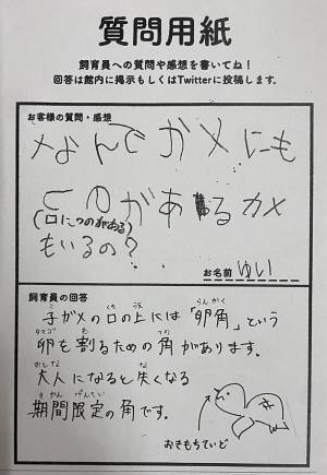 質問用紙に書かれた『素朴な疑問』　内容に「将来有望」「よくぞ気づいた」