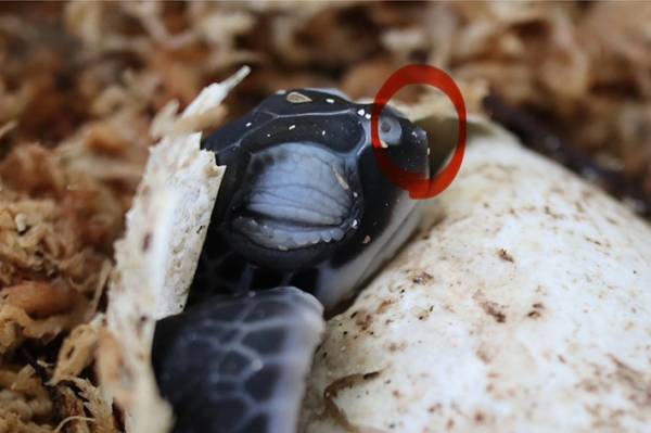 質問用紙に書かれた『素朴な疑問』　内容に「将来有望」「よくぞ気づいた」