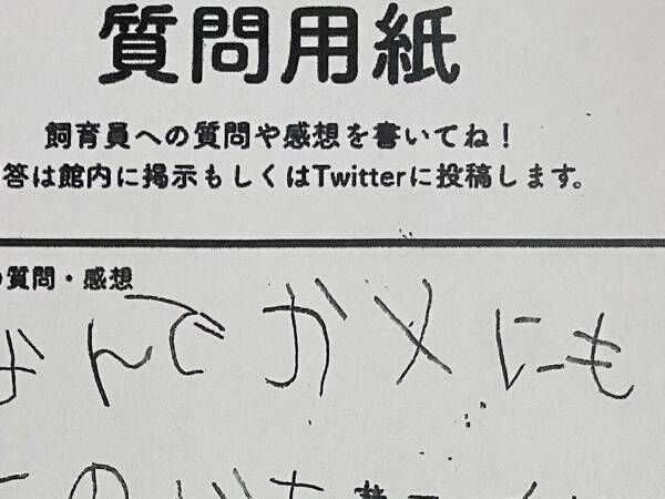 質問用紙に書かれた『素朴な疑問』　内容に「将来有望」「よくぞ気づいた」