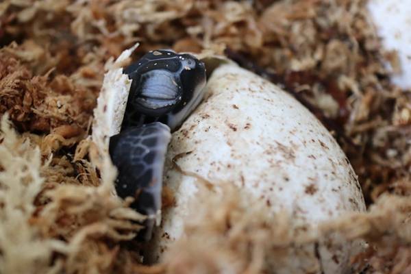 質問用紙に書かれた『素朴な疑問』　内容に「将来有望」「よくぞ気づいた」