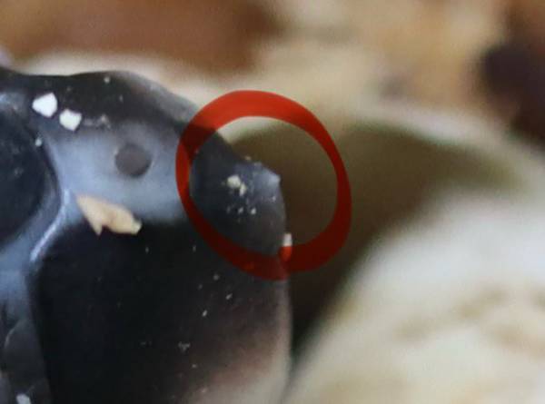 質問用紙に書かれた『素朴な疑問』　内容に「将来有望」「よくぞ気づいた」