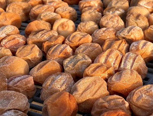 梅干しは腐る？腐らない？　農園に聞いた『正解』にビックリ！