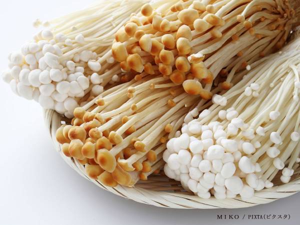 白と茶色は何が違うの？　エノキタケ農家の回答に、目からウロコ