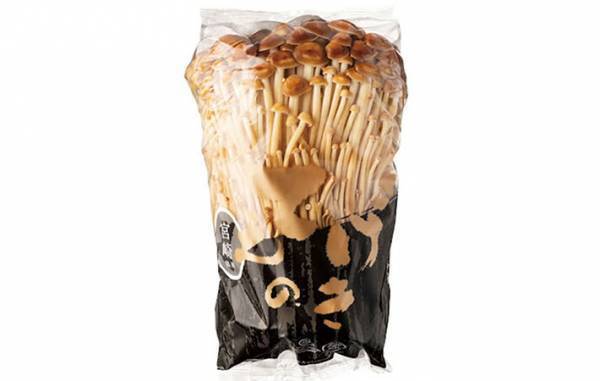 白と茶色は何が違うの？　エノキタケ農家の回答に、目からウロコ