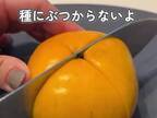 硬い柿も、やわらかい柿も簡単！　おいしい皮の剝き方に「やってみます」