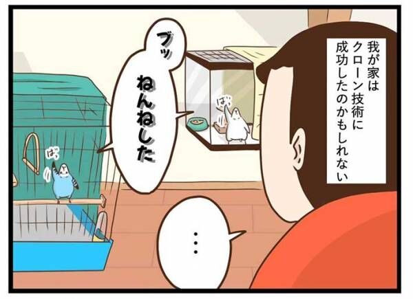 タクセニョリータさんの漫画