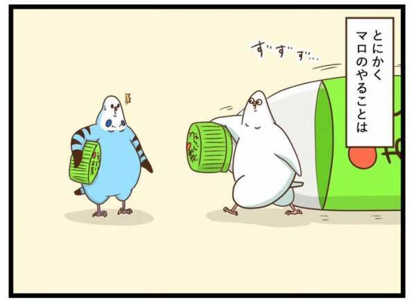 飼い主「クローン技術に成功したかも」　ワケに「しっかり学んでる」「胸熱展開」