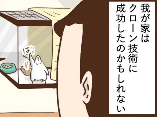 飼い主「クローン技術に成功したかも」　ワケに「しっかり学んでる」「胸熱展開」