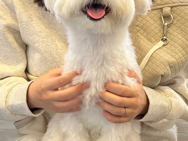 「いつ見ても最高！」「怖がるどころか…」　愛犬を病院に連れて行ったら…？