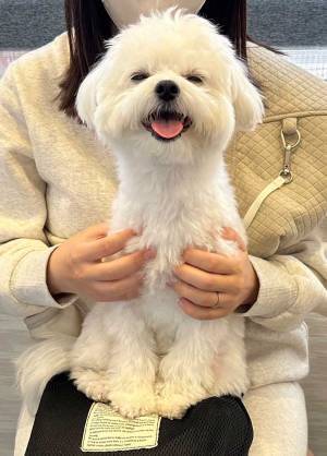 「いつ見ても最高！」「怖がるどころか…」　愛犬を病院に連れて行ったら…？