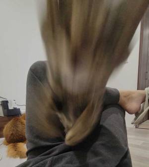 脚の間から…　４枚に「飼い主どうなった」「爆笑」