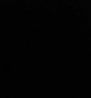 脚の間から…　４枚に「飼い主どうなった」「爆笑」