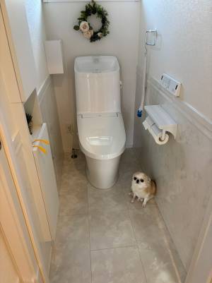 飼い主「そこじゃない」　こちらに何かを訴える犬、座っていた場所が？