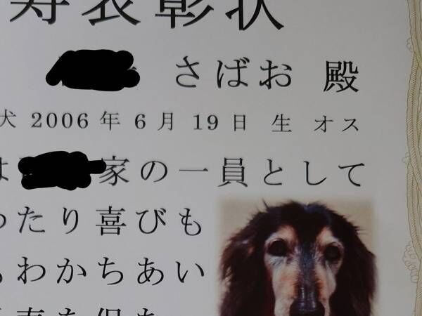 「初めて知った」「努力の賜物」　飼い主の元に届いた、動物愛護協会からの『郵送物』が…