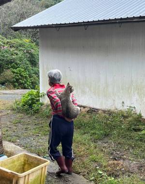 野菜をくれた近所の高齢女性　新手の『物々交換』に「吹いた」「こういうのもあるのか」