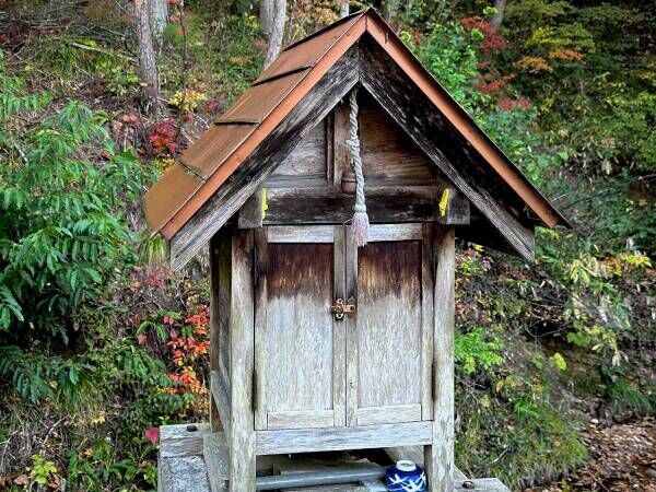 まるで『ごんぎつね』　神社の風景に「素敵な光景」「朝から泣きそう」