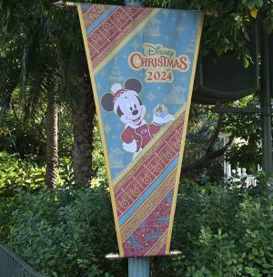 クリスマスの東京ディズニーリゾートを楽しむなら？　おすすめのお土産も紹介