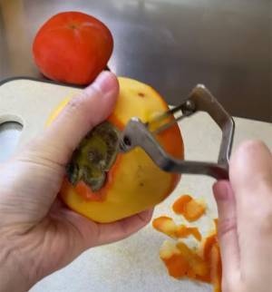 『意外と知らない』柿の剥き方　包丁の代わりに使うのは…