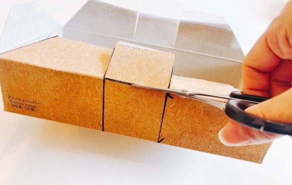 使い終わったティッシュ　思わぬ活用法に「コロンとしてかわいい！」