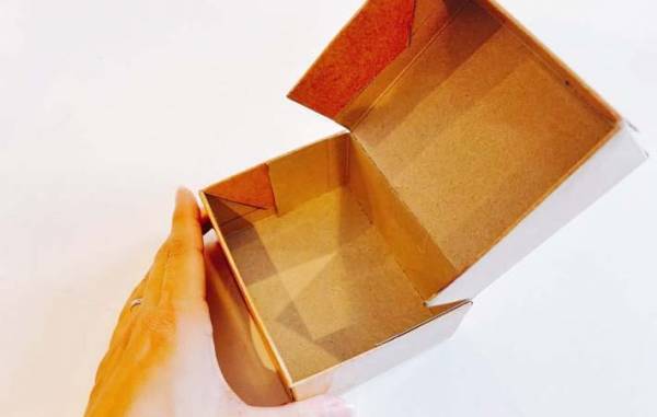 使い終わったティッシュ　思わぬ活用法に「コロンとしてかわいい！」