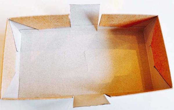 使い終わったティッシュ　思わぬ活用法に「コロンとしてかわいい！」