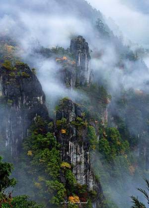 水墨画みたいな『写真』　奈良県の景色に「すごすぎる」「ドラゴンボールみたい」