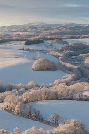 寒そうだけど見てみたい…！　北海道で撮影した１枚に「本州の人は憧れる」