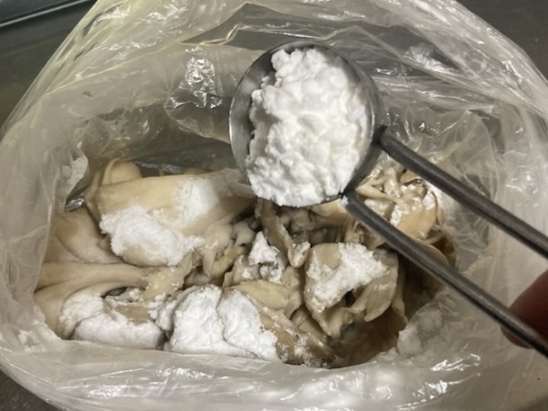 マイタケにまぶしたのは…？　味付けに「ハマった」「箸が止まらん」