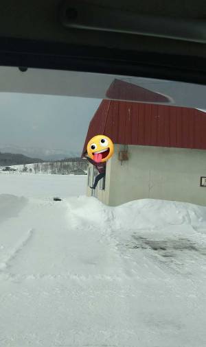 「めっちゃ見送ってくる同居人」　写真に「笑った」「どこから見送ってんねん」