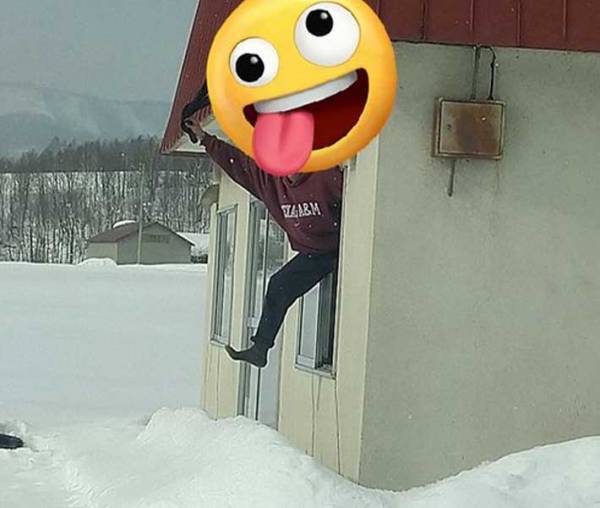 「めっちゃ見送ってくる同居人」　写真に「笑った」「どこから見送ってんねん」