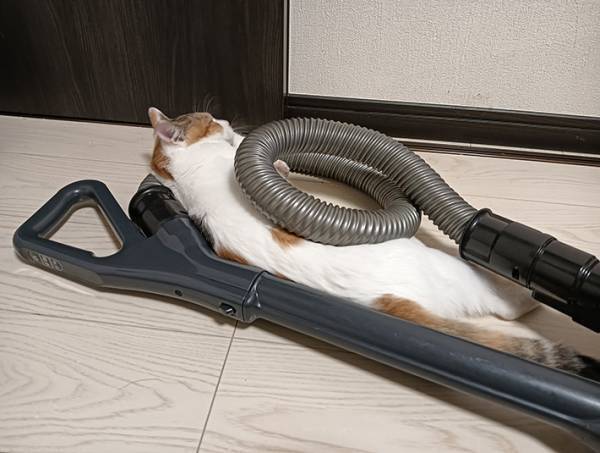 自立式の掃除機がすぐに倒れる…　原因に「そのままにしておきます」「笑った」