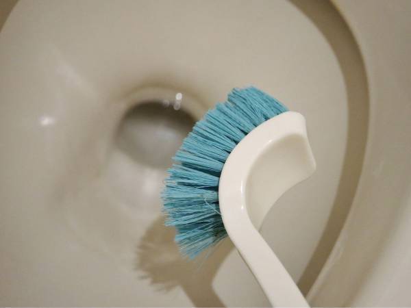 トイレの『ピンク汚れ』の正体は？　企業の解説に「ゾワッ」「すぐ掃除する」