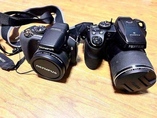 花や蝶、祖母の姿…最後の１枚は？　亡き祖父が撮った写真に「泣いた」