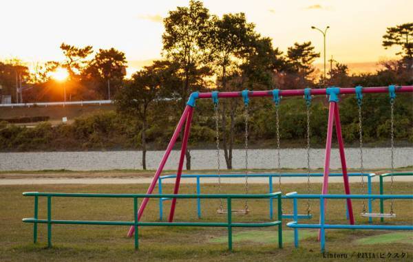 公園に落ちている『危険な実』　見た目に「うわっ！」「怖い…絶対に使いません」