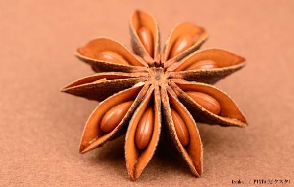 公園に落ちている『危険な実』　見た目に「うわっ！」「怖い…絶対に使いません」