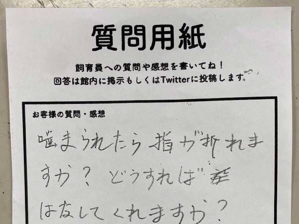 「噛まれたら指が折れる？」　飼育員の回答に「最後の一文にゾッ」「笑えないけど笑った」