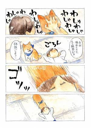 「休憩しよう」　愛犬をなでるのをやめた飼い主、すると柴犬が？