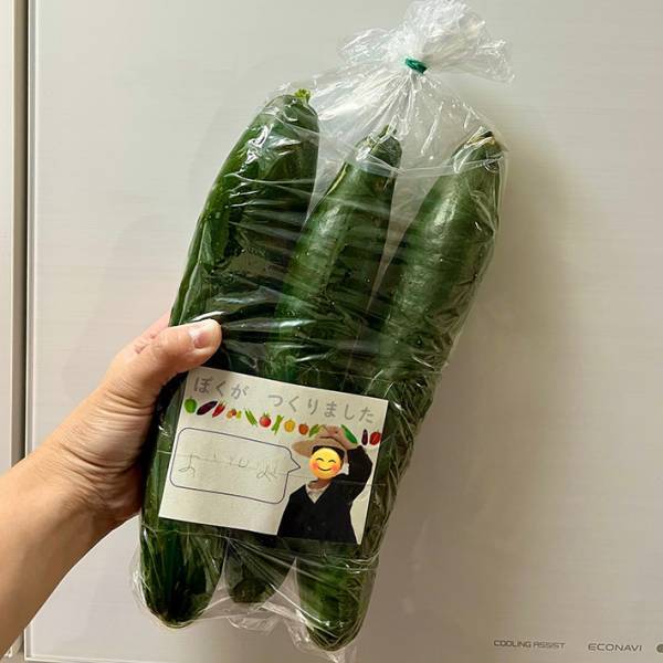 「ぼくがつくりました」　キュウリに貼られたシールに「こんなの泣く」