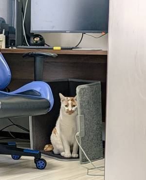 寒いからヒーターを出したのに…　夫の部屋の光景に「もう１つ買うしかない」