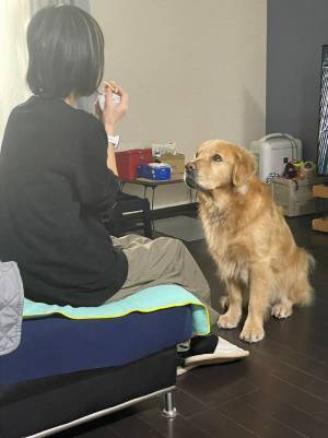 食べ物がもらえると期待する犬　その後の落胆ぶりが、話題に