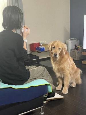 食べ物がもらえると期待する犬　その後の落胆ぶりが、話題に