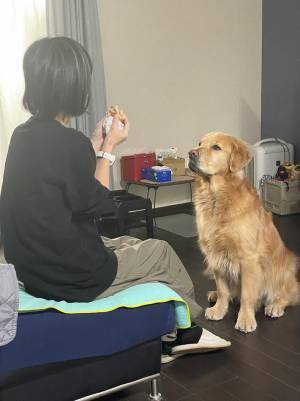 食べ物がもらえると期待する犬　その後の落胆ぶりが、話題に