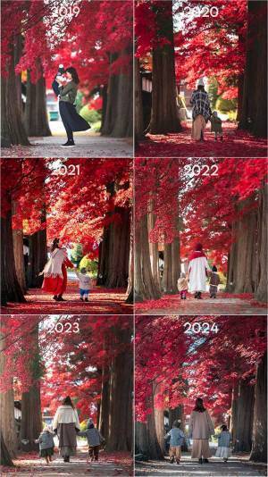 ６年間、撮影した写真を１枚にすると？　光景に「泣いた」「鳥肌が立った」