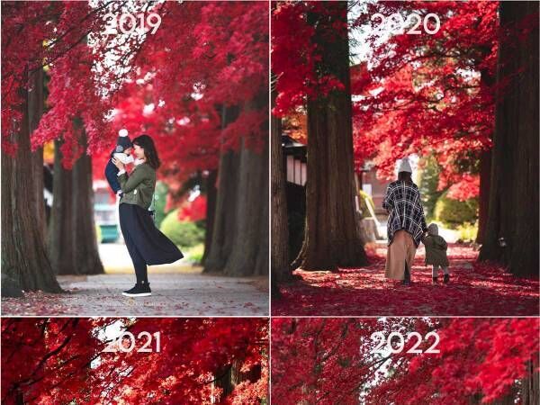 ６年間、撮影した写真を１枚にすると？　光景に「泣いた」「鳥肌が立った」