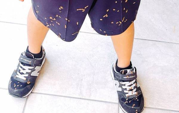 早く知りたかった！　服についた『くっつき虫』を驚くほど簡単に取る方法