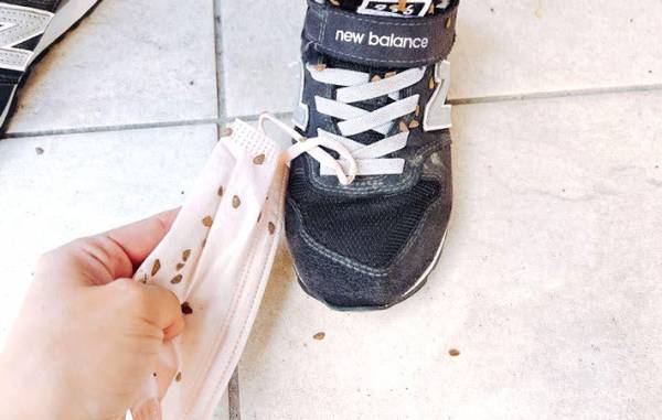 早く知りたかった！　服についた『くっつき虫』を驚くほど簡単に取る方法