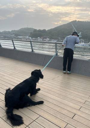 飼い主「海にビビり散らかすいぬ氏」　格好に「もう無理だ～」「全力拒否に笑った」